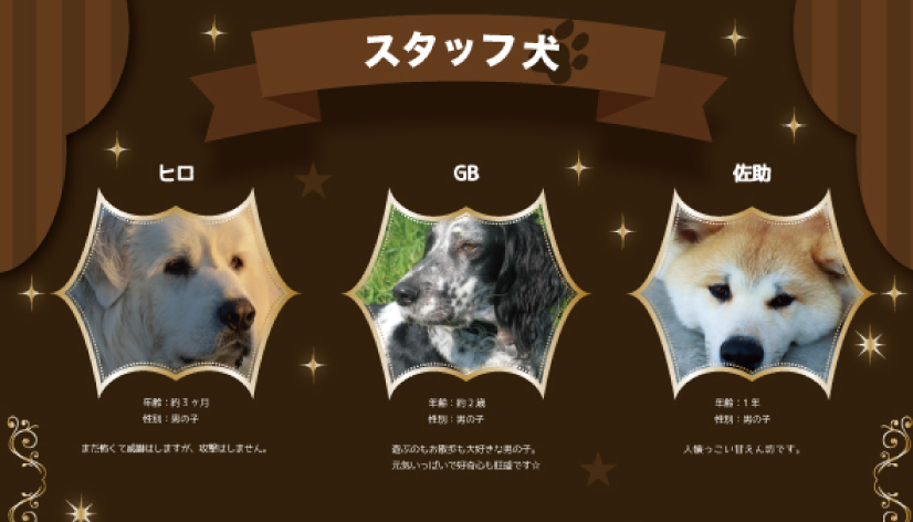 犬リスト