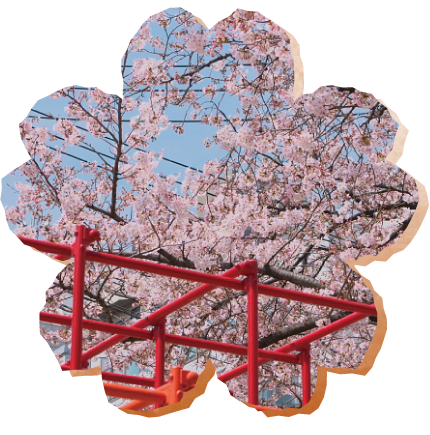 入園について